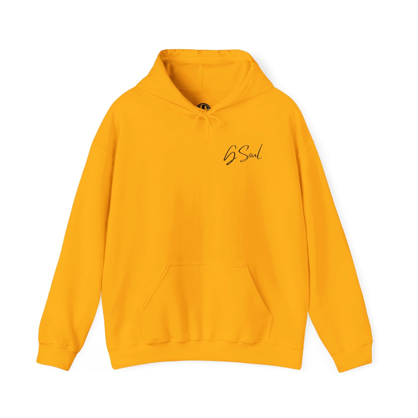 "PLT" Pretty Little Thing TOUR Hoodie