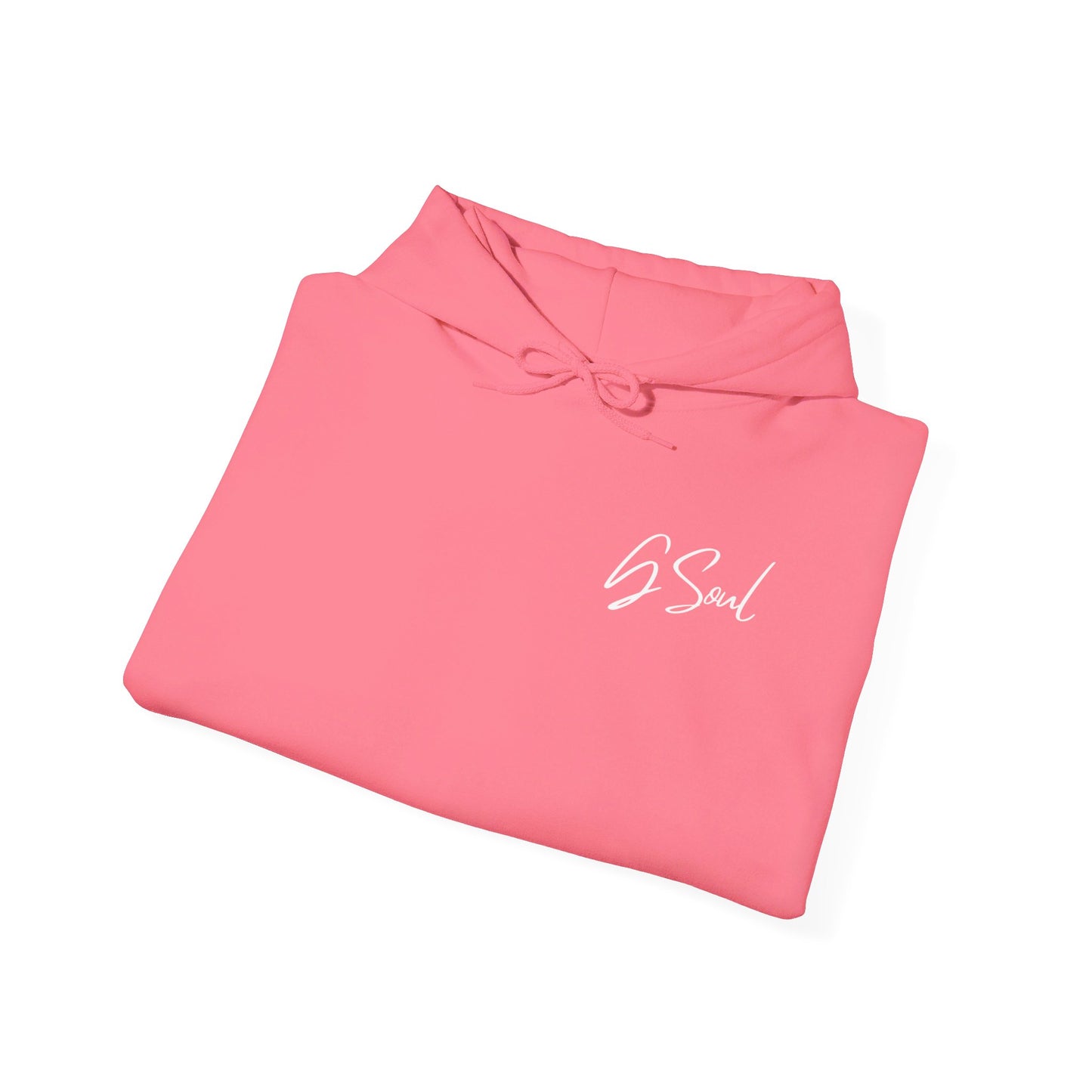 "PLT" Pretty Little Thing TOUR Hoodie