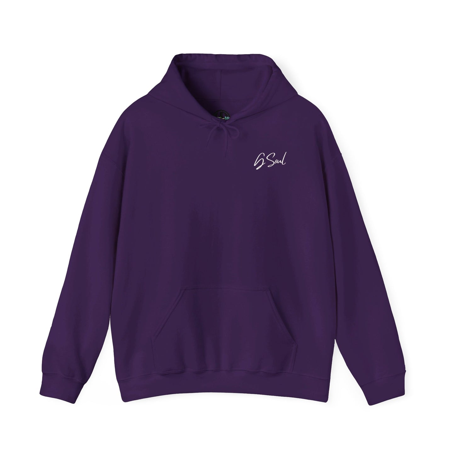 "PLT" Pretty Little Thing TOUR Hoodie