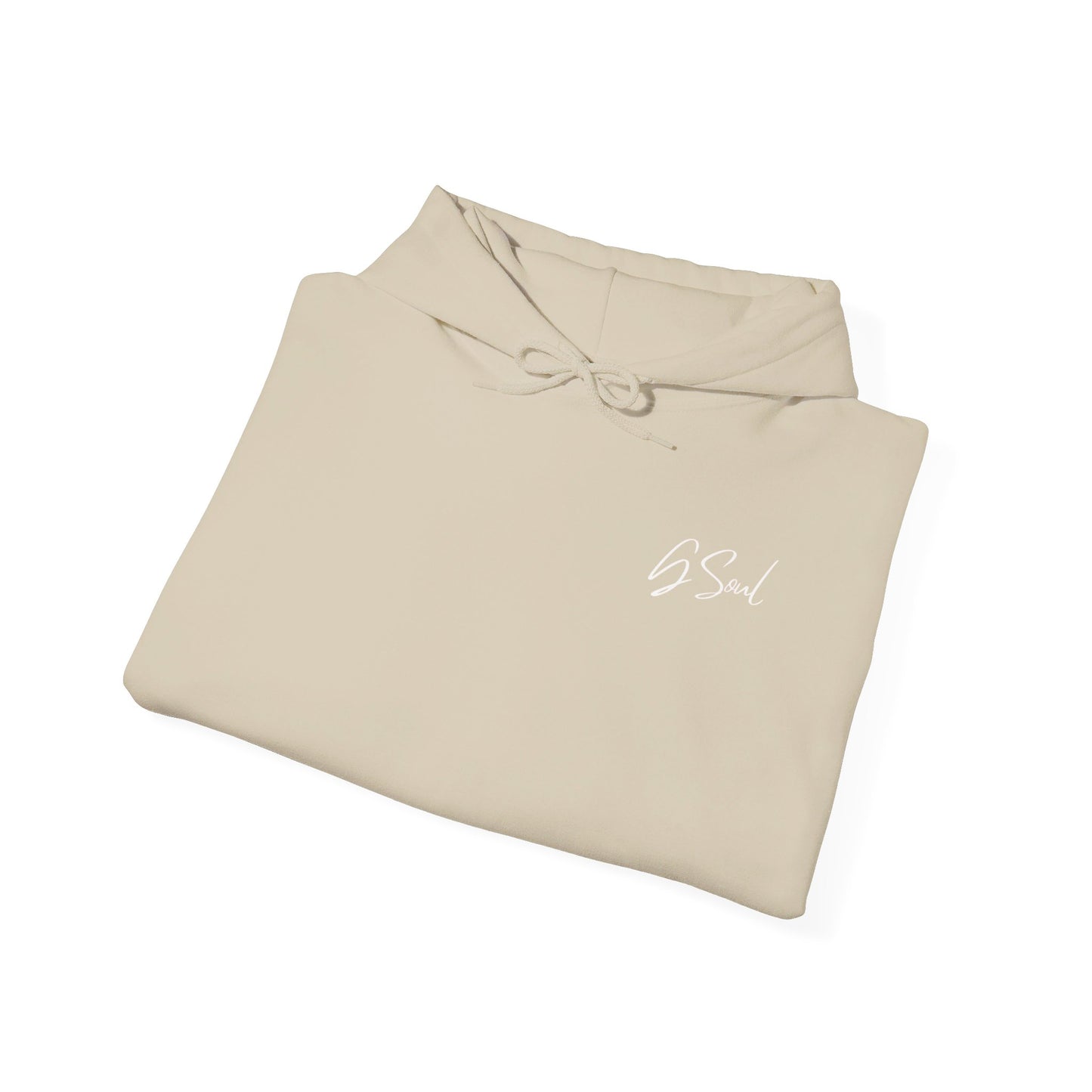 "PLT" Pretty Little Thing TOUR Hoodie