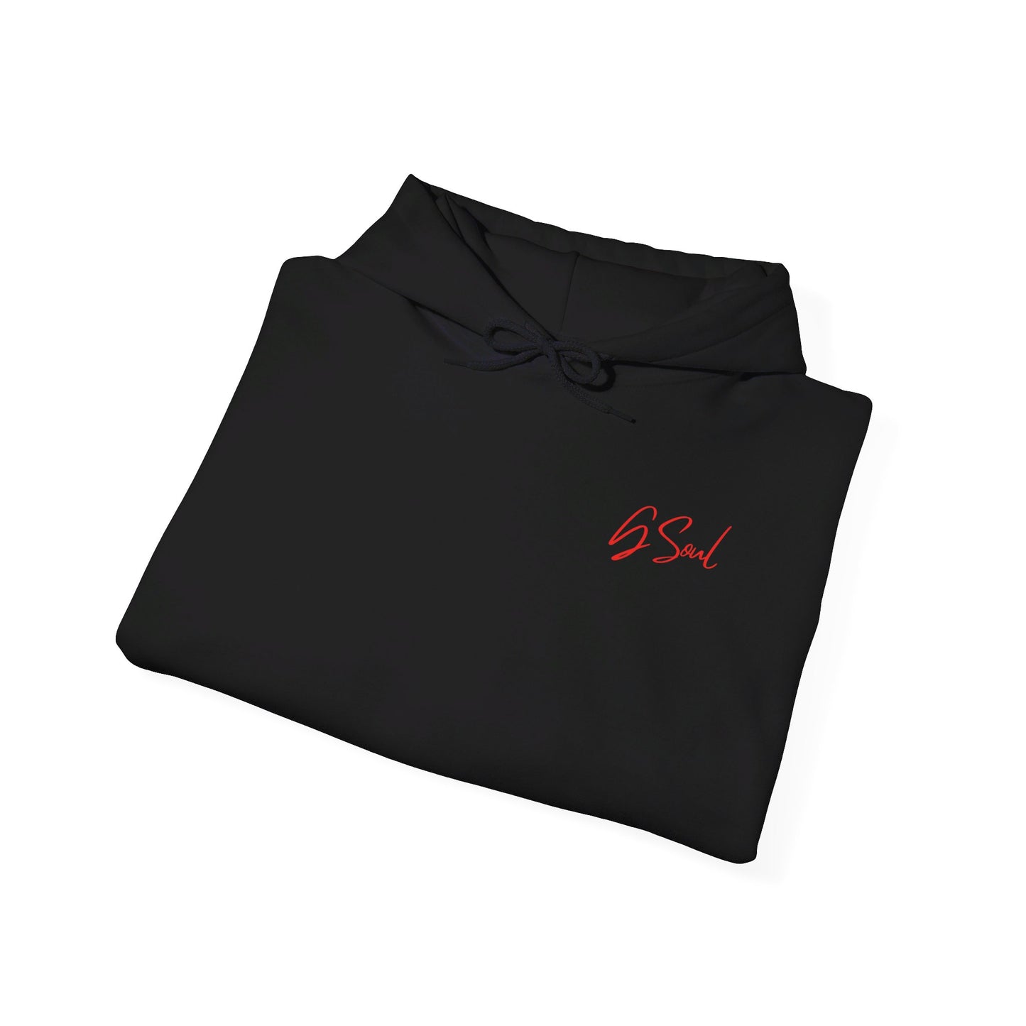 "PLT" Pretty Little Thing TOUR Hoodie