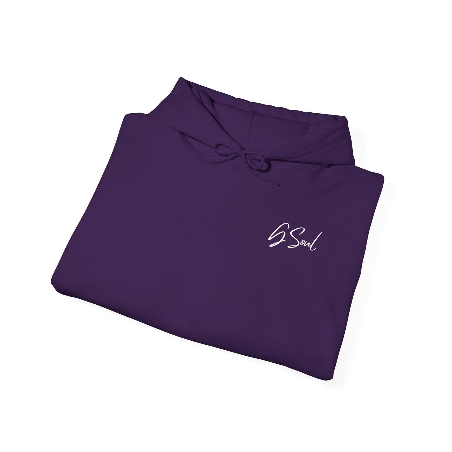 "PLT" Pretty Little Thing TOUR Hoodie