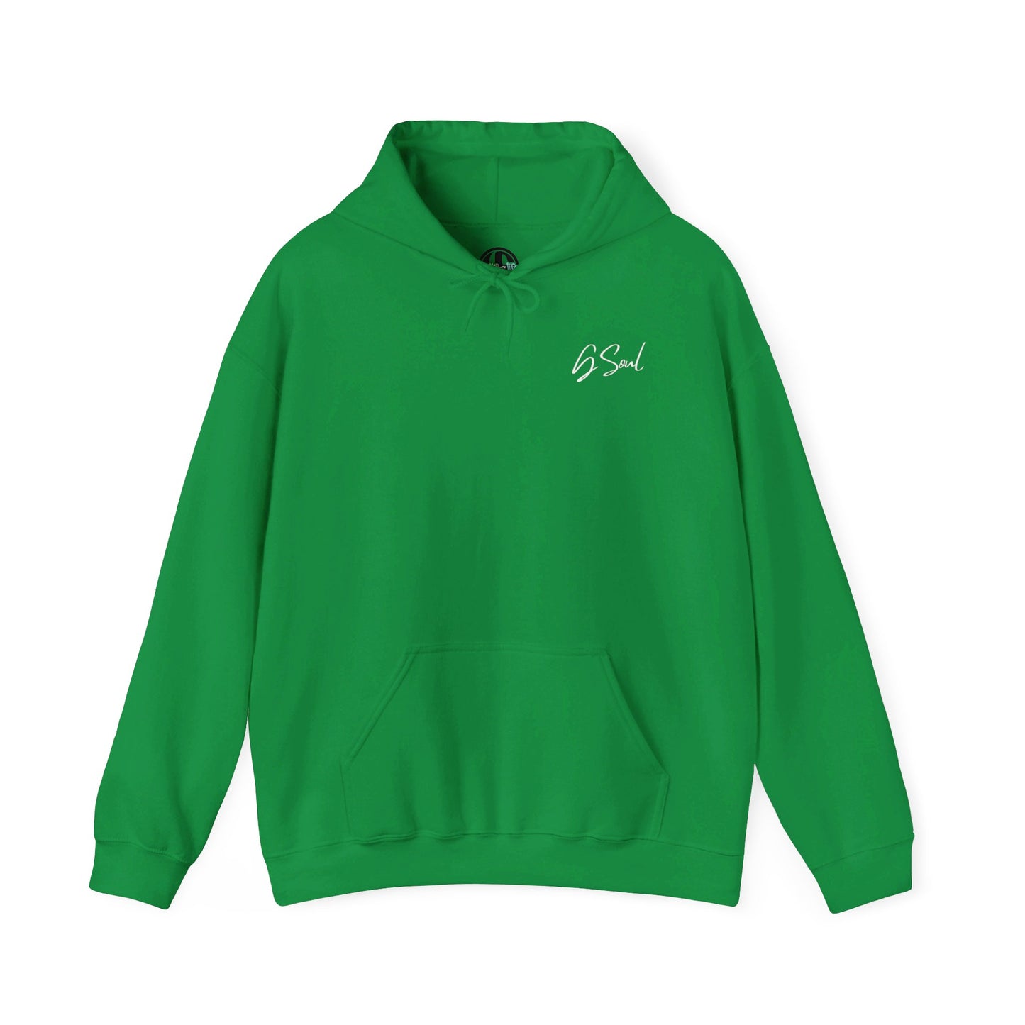 "PLT" Pretty Little Thing TOUR Hoodie