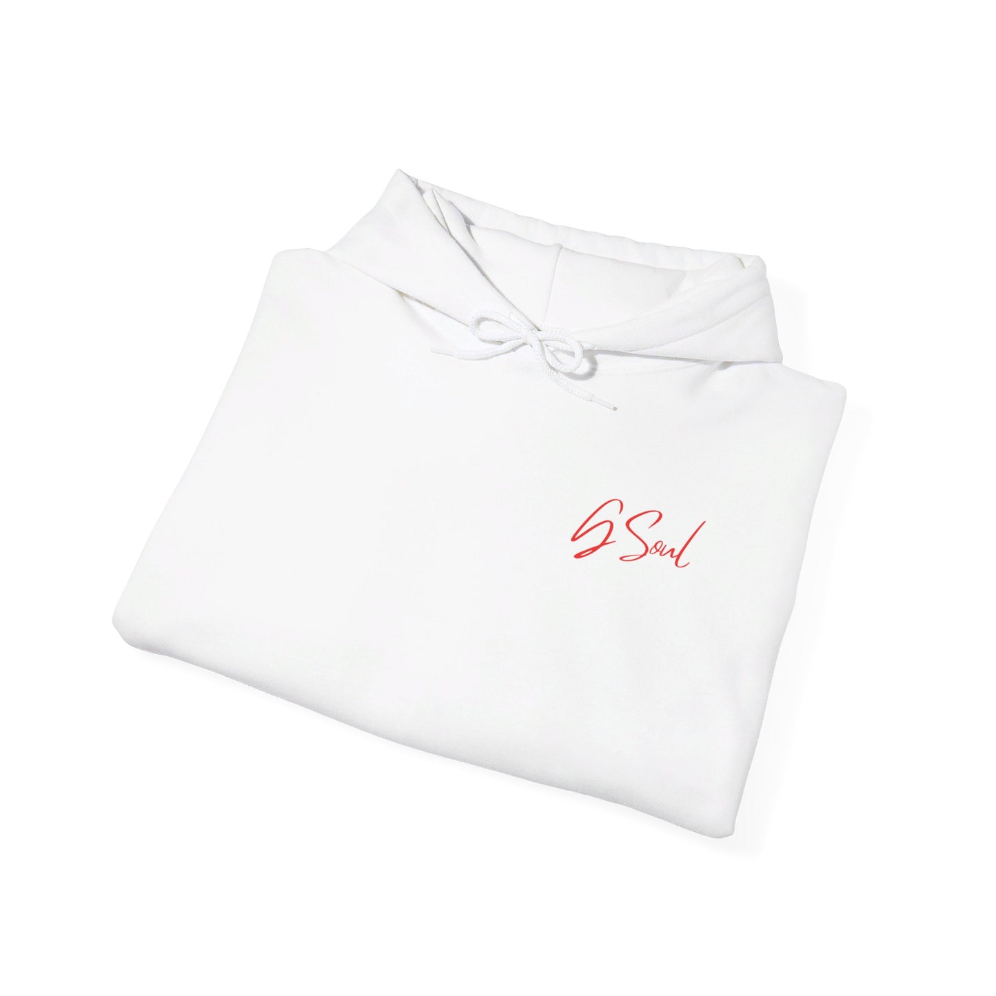 "PLT" Pretty Little Thing TOUR Hoodie