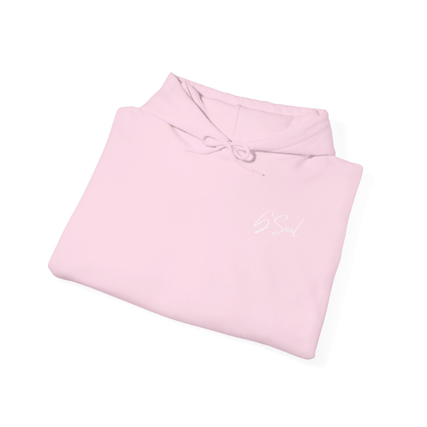 "PLT" Pretty Little Thing TOUR Hoodie