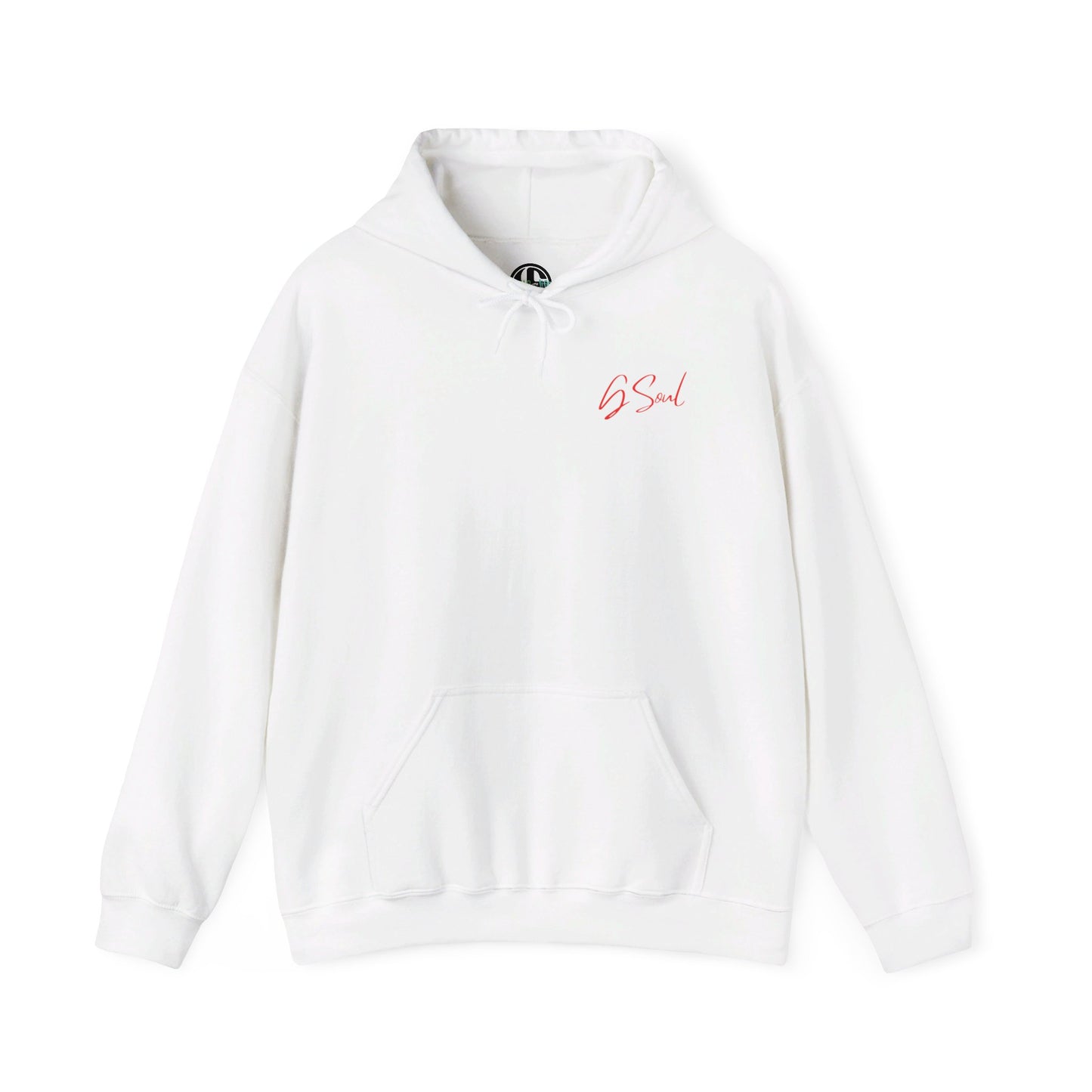 "PLT" Pretty Little Thing TOUR Hoodie