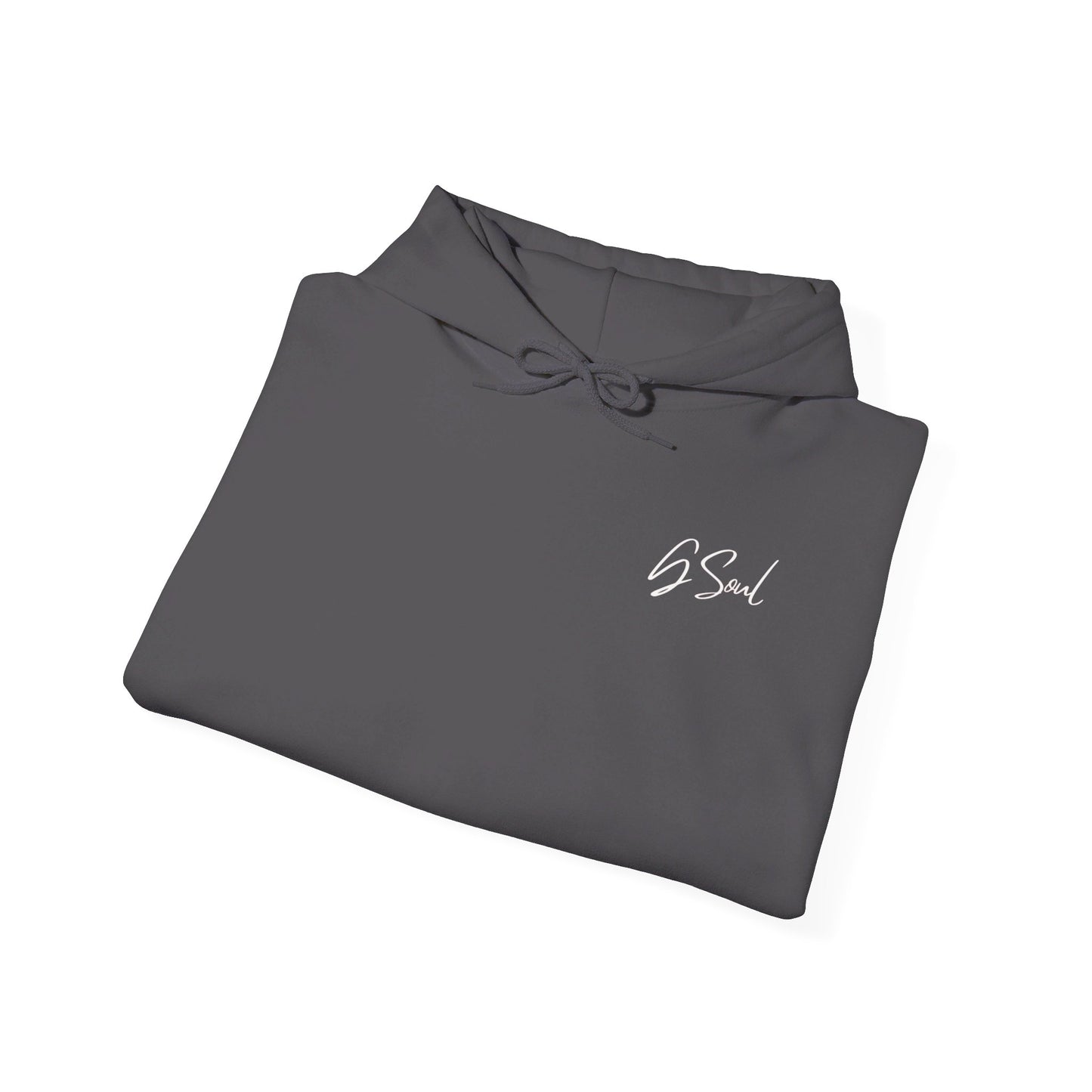 "PLT" Pretty Little Thing TOUR Hoodie