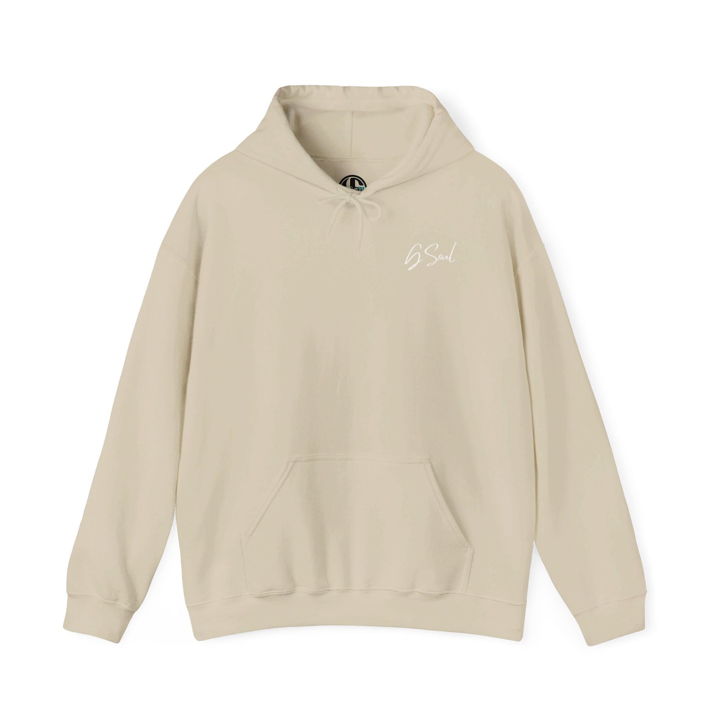 "PLT" Pretty Little Thing TOUR Hoodie