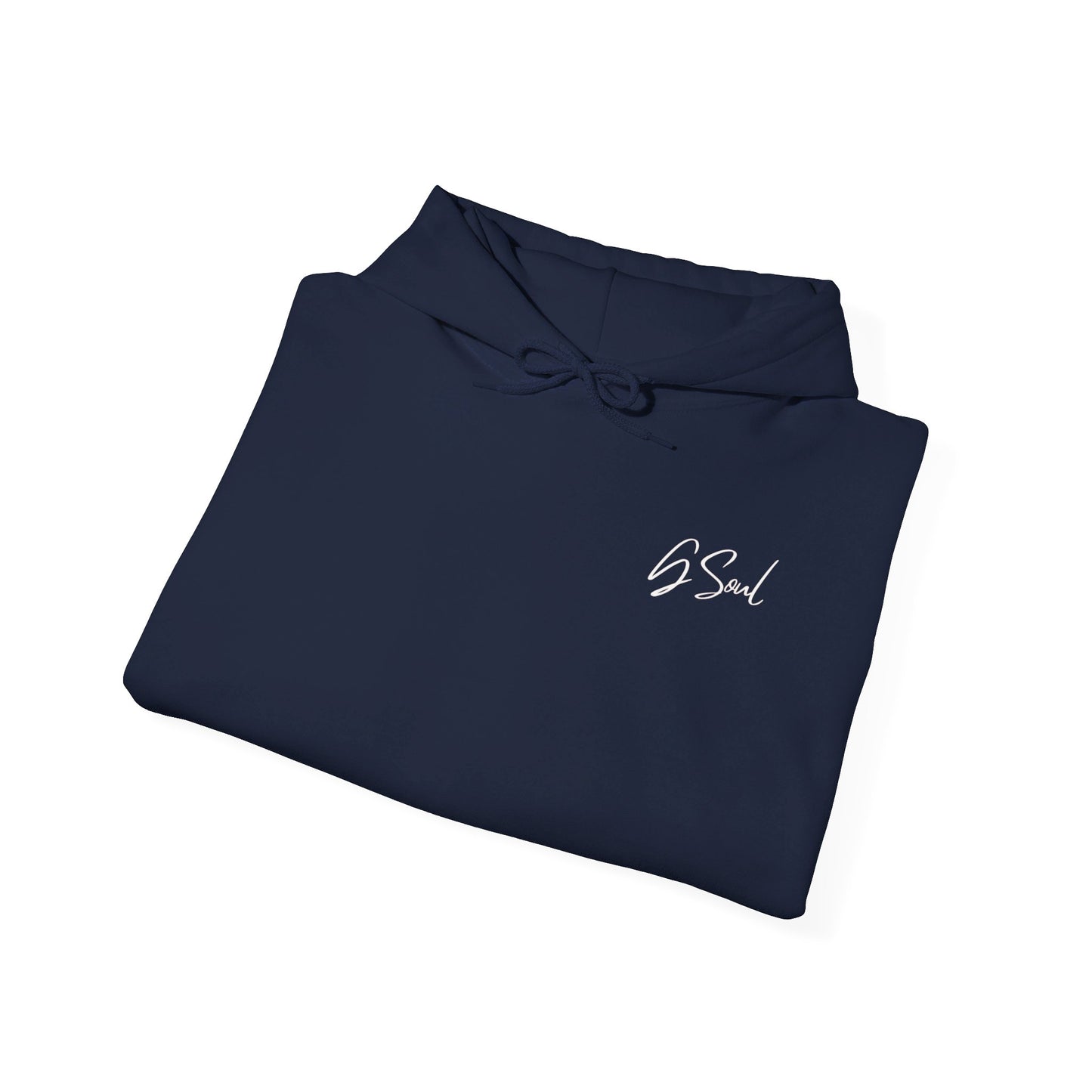 "PLT" Pretty Little Thing TOUR Hoodie