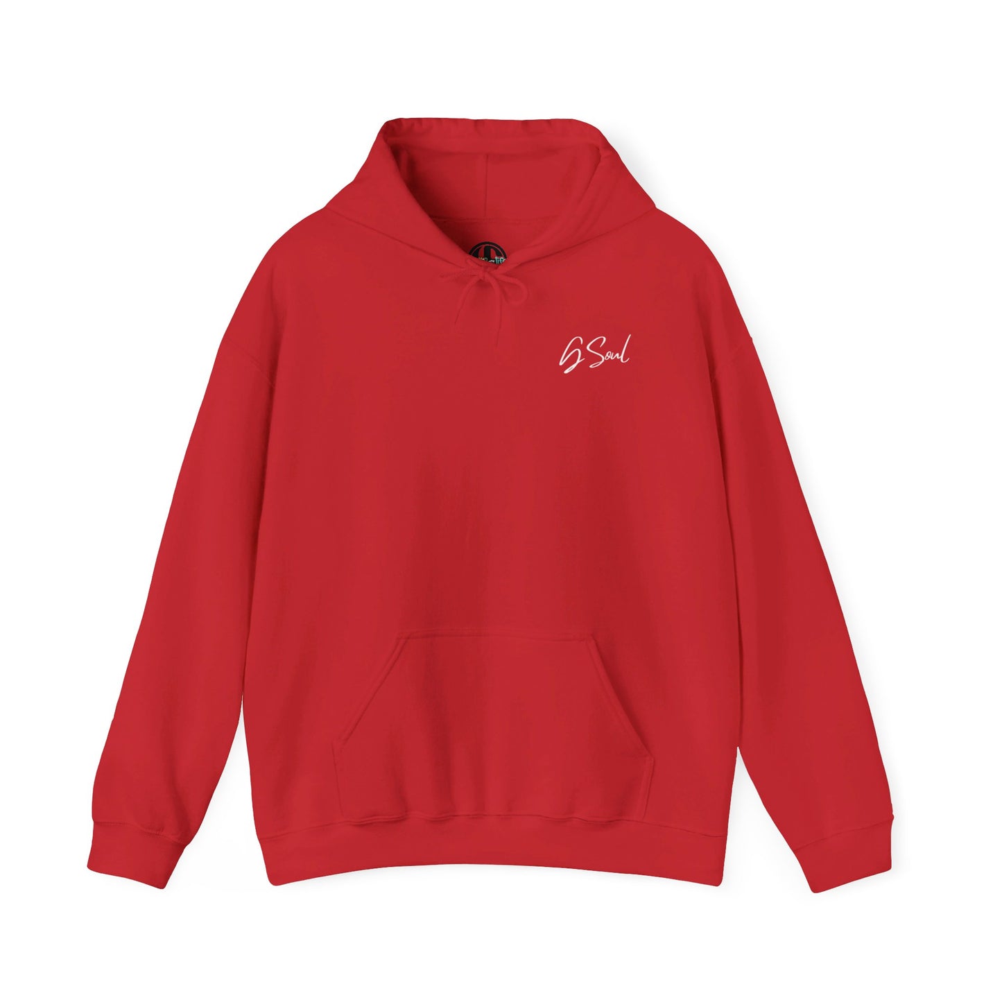 "PLT" Pretty Little Thing TOUR Hoodie