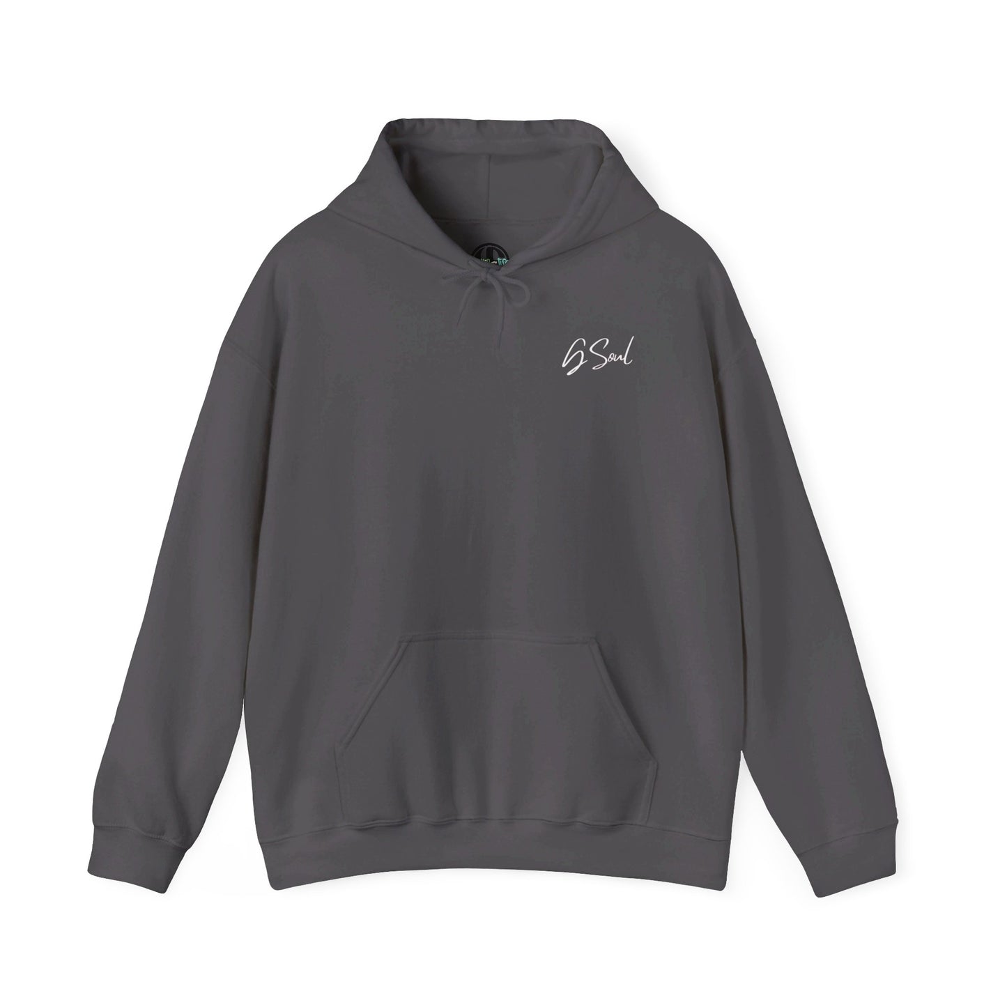 "PLT" Pretty Little Thing TOUR Hoodie