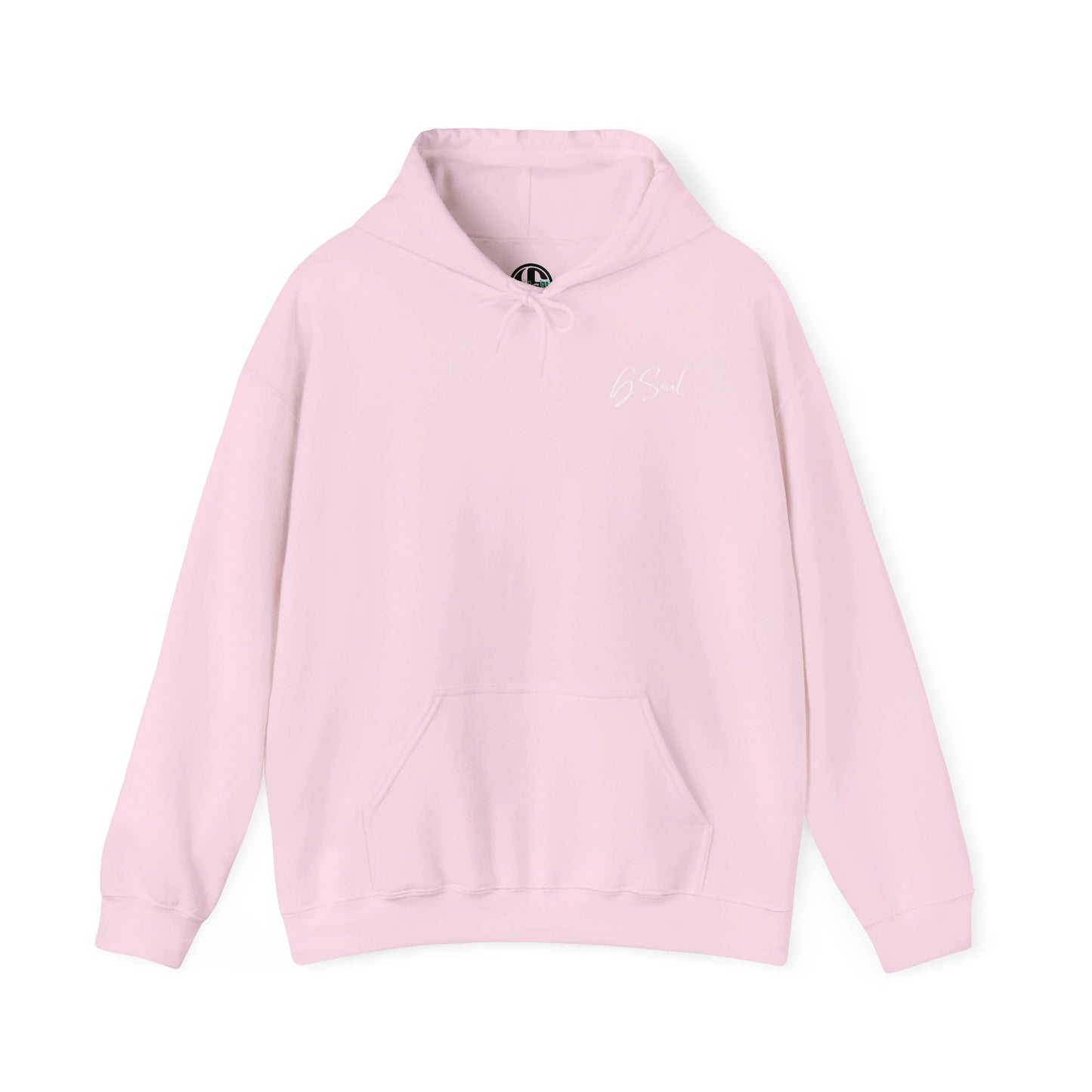 "PLT" Pretty Little Thing TOUR Hoodie